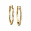 Aros 2.7 oro Sovrani